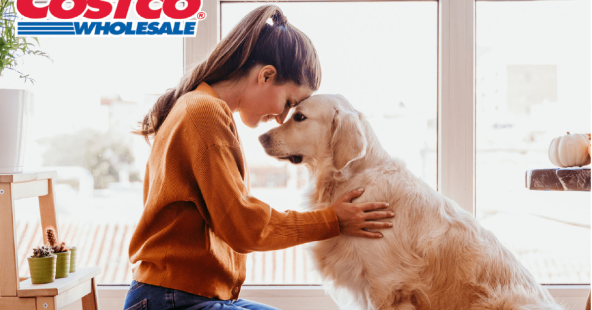 Costco Pet Insurance Coverage – A Smart, Affordable Choice for Dogs and Cats in 2025