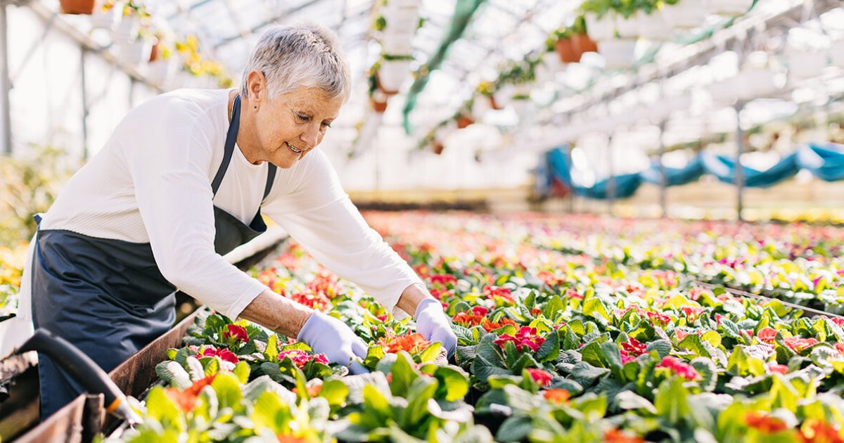 15 Part-Time Jobs for Retirees (2026 Guide)