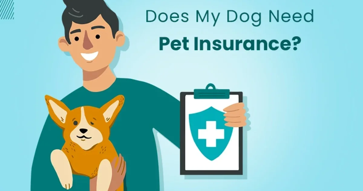April 2026 Update: New Affordable Pet Insurance Guide Now Available