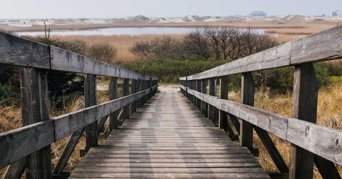 Library Strategies for Finding Autistic-Friendly Books