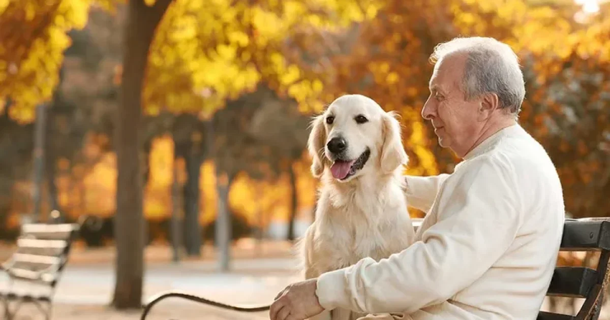 Seniors Pet Insurance in the U.S.: A Practical 2026 Guide to Protecting Dogs & Cats and Managing Costs with Confidence