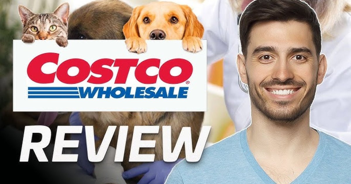 Walmart vs Costco Pet Insurance Offers Guide: Which One Is Better for Your Pet?