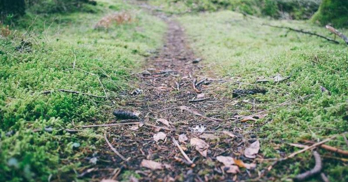 Overcoming Access Barriers to Early Intervention for Autism