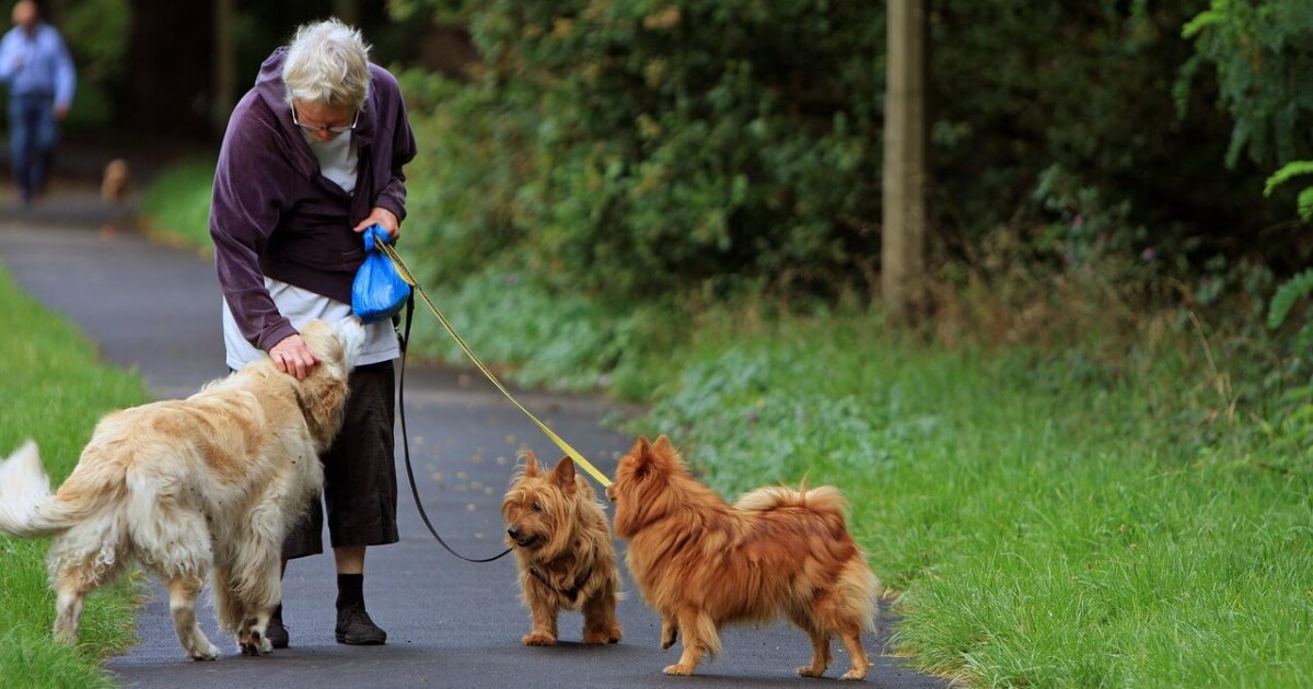 Part-Time Jobs for Retirees: Flexible Work After Retirement