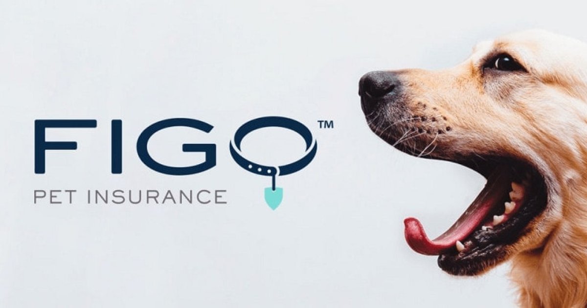 Figo Pet Insurance Guide: Affordable Protection for Cats & Dogs — Especially for Seniors & Low-Income Families