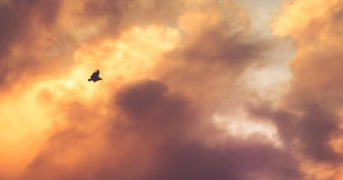 Transition-Ready: Preparing Autistic Children for Smooth Transitions to Reduce Regulation Challenges