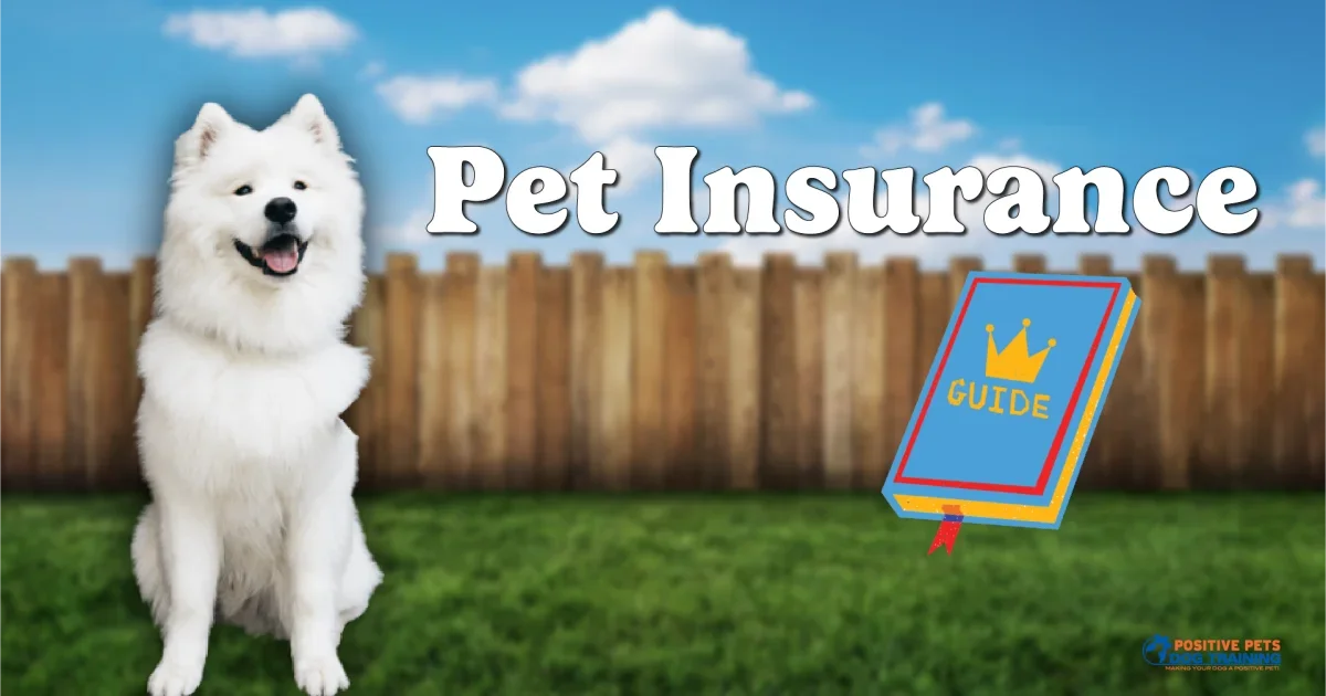 Walmart Pet Insurance Coverage Policy Details You Should Read Carefully