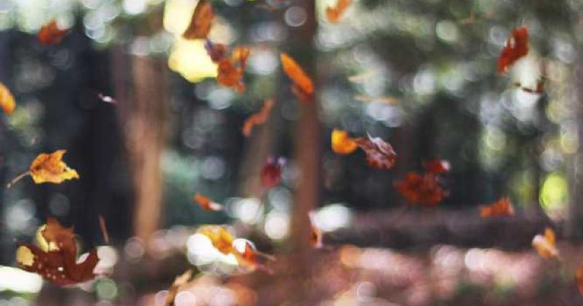 Practical Reading Activities for Families with Autistic Kids