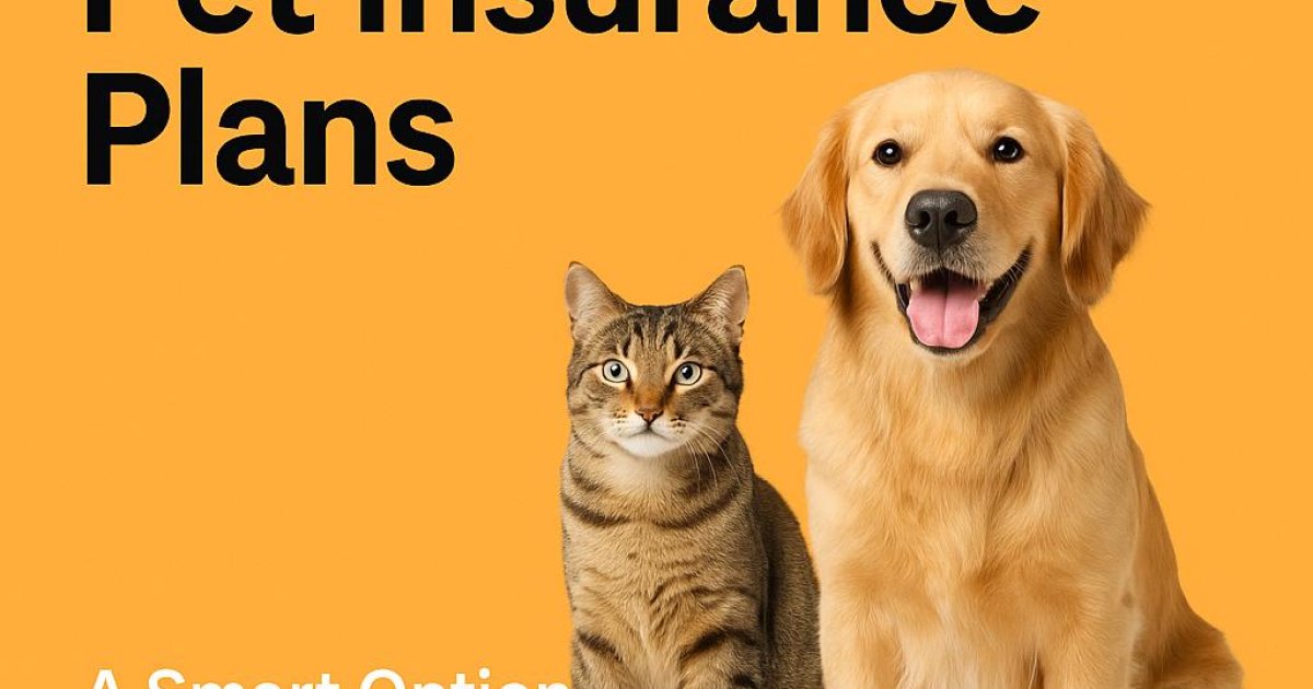 Walmart and Costco Pet Insurance Offers – A Smart Solution for Cats and Dogs