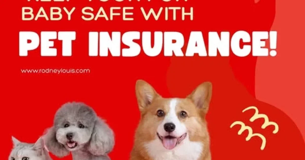 A Thoughtful 2026 Guide to Choosing the Right Pet Insurance for Dogs & Cats: Smarter Coverage, Real Costs, and Confident Decisions for U.S. Pet Owners