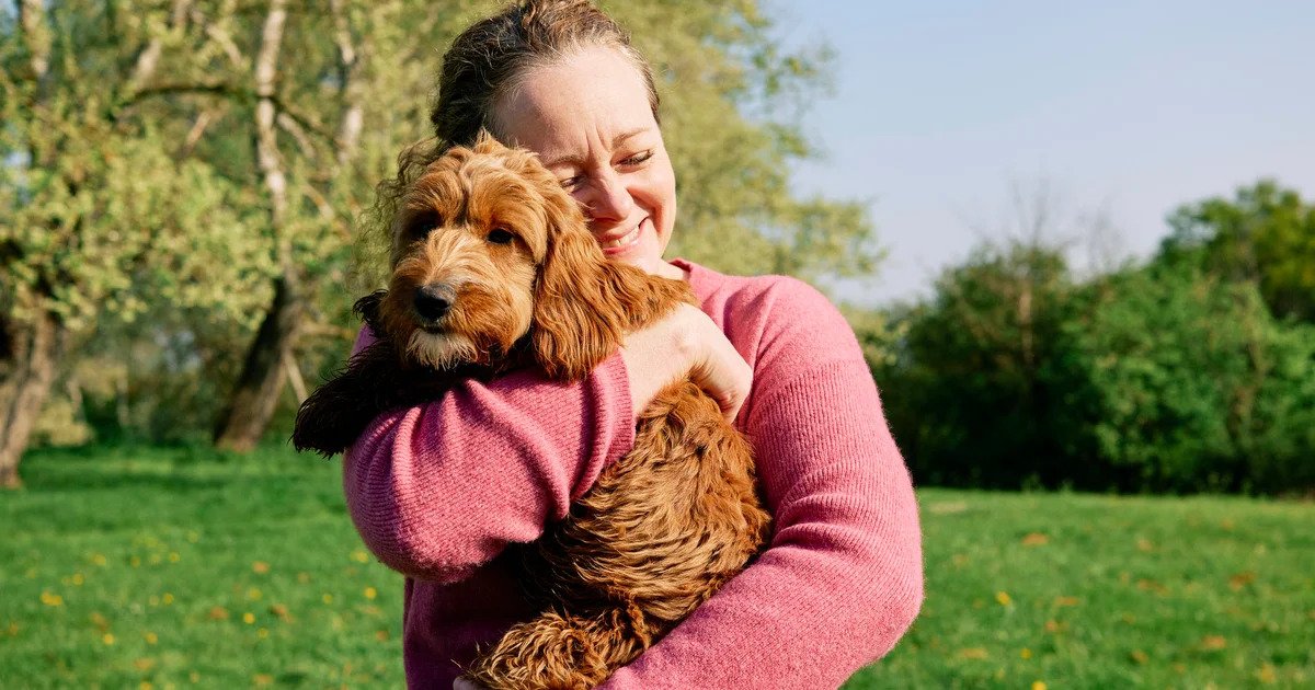 Pet Insurance for Older Dogs: What You Need to Know