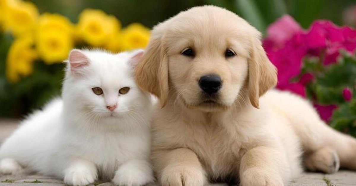 State Farm Pet Insurance: An Informational Guide for Comparing Coverage, Costs, and Eligibility