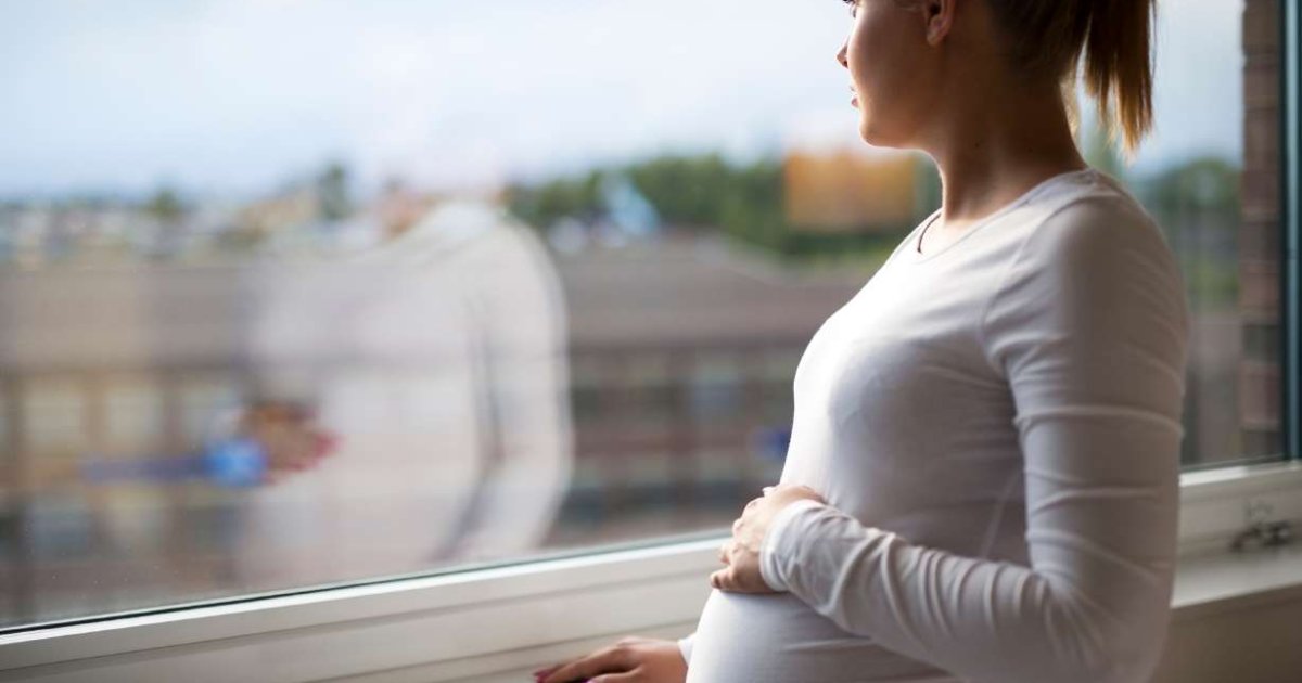 Pregnancy Assistance Programs: A Practical Overview of Maternity Support and Government Benefits for New Parents