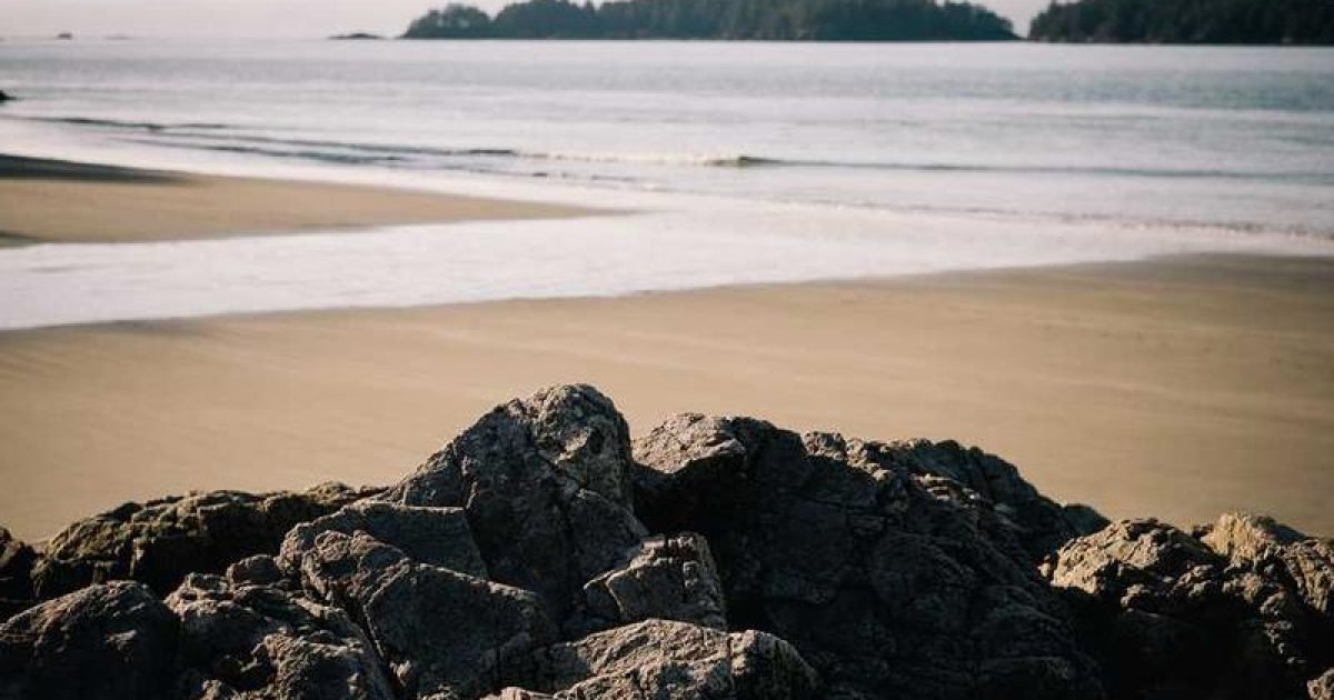 Mindful Moments: How Mindfulness and Calm Reflection Support Self-Regulation in Autism