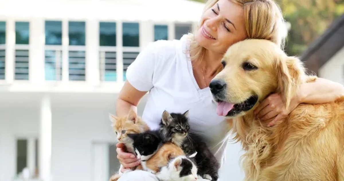 Pet Insurance in the U.S.: A Practical Guide for Dog Owners, Cat Owners, and Other Pet Households