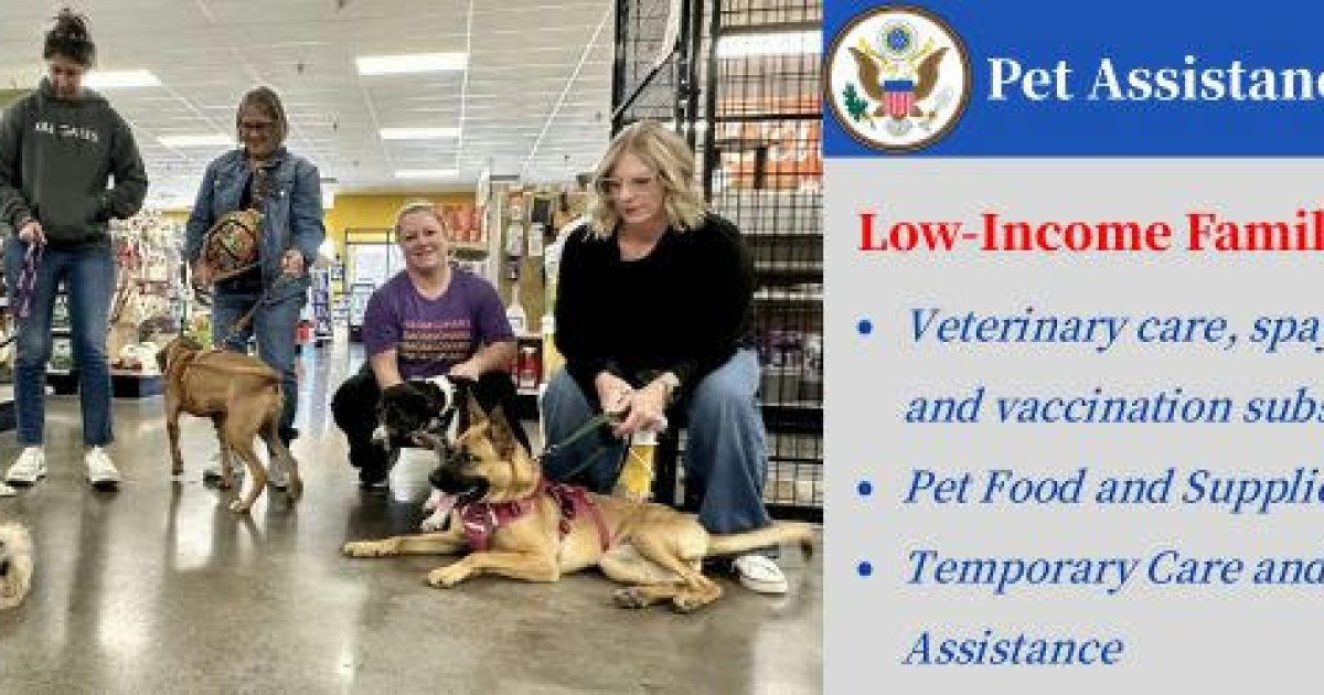 🐾Pet Assistance Programs: Providing Real Help for Low-Income Families and Seniors