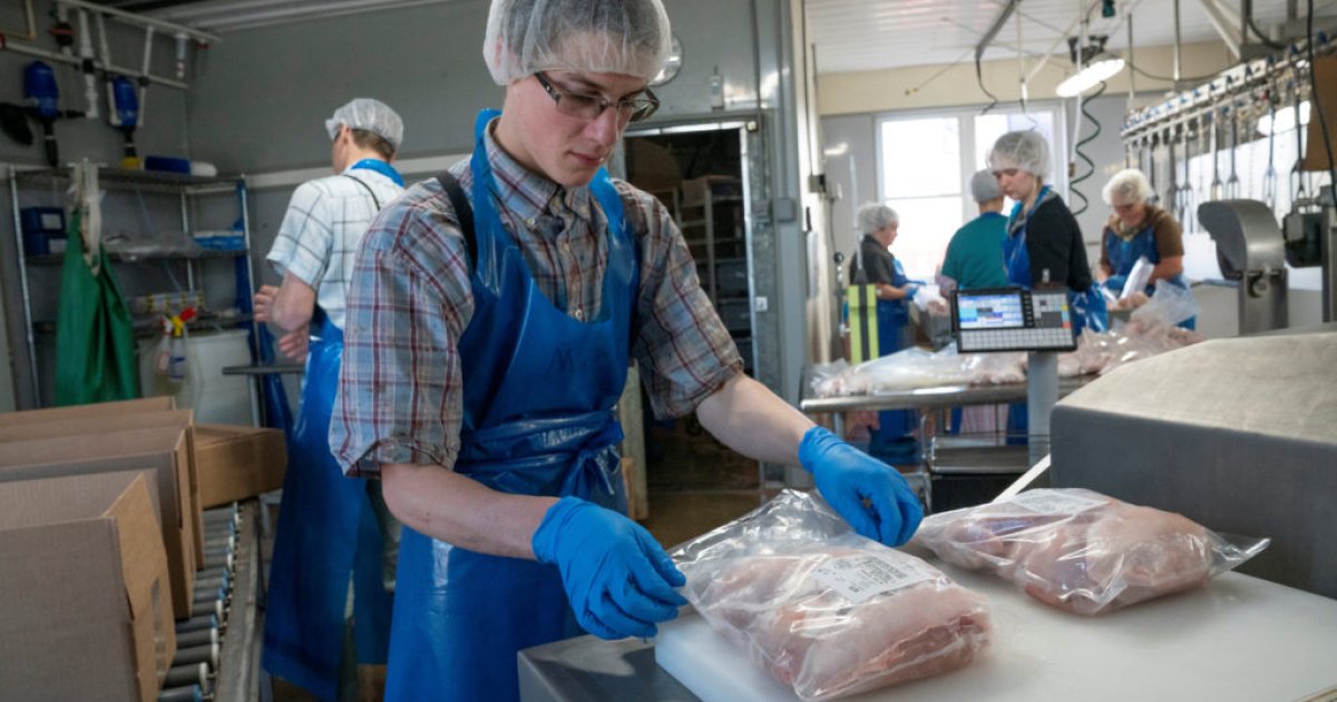 Exploring Opportunities in the Food Packaging Industry (2025 Guide)
