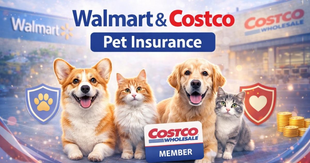 Best Pet Insurance in 2026: A Complete Guide to Walmart & Costco Plans for U.S. Pet Owners