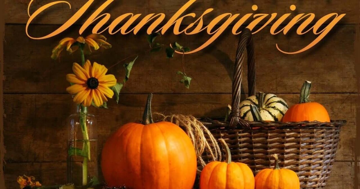 Best Tech Thanksgiving Gifts for Older Adults in 2025