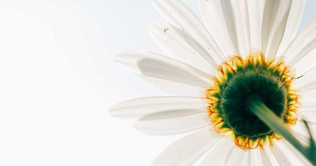 Co-Regulation: A Partner Approach to Self-Regulation for Autistic Children