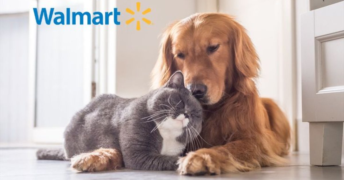 Walmart and Costco Pet Insurance: Practical Coverage Insights for Seniors, Families, and Budget-Conscious Households
