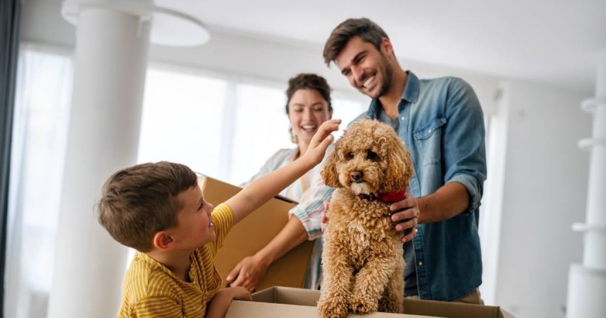Walmart vs. Costco Pet Insurance: Real Coverage Options for Dog and Cat Owners