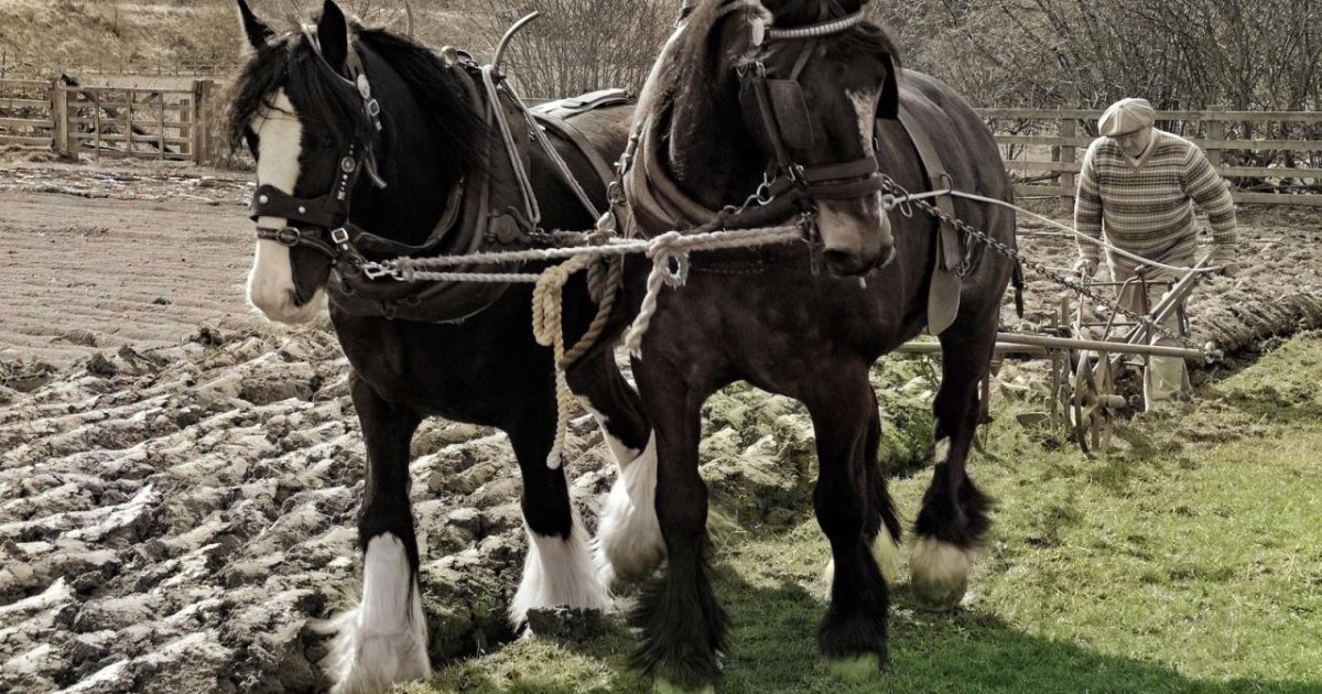 How Community Museums Keep Local History Feeling Alive