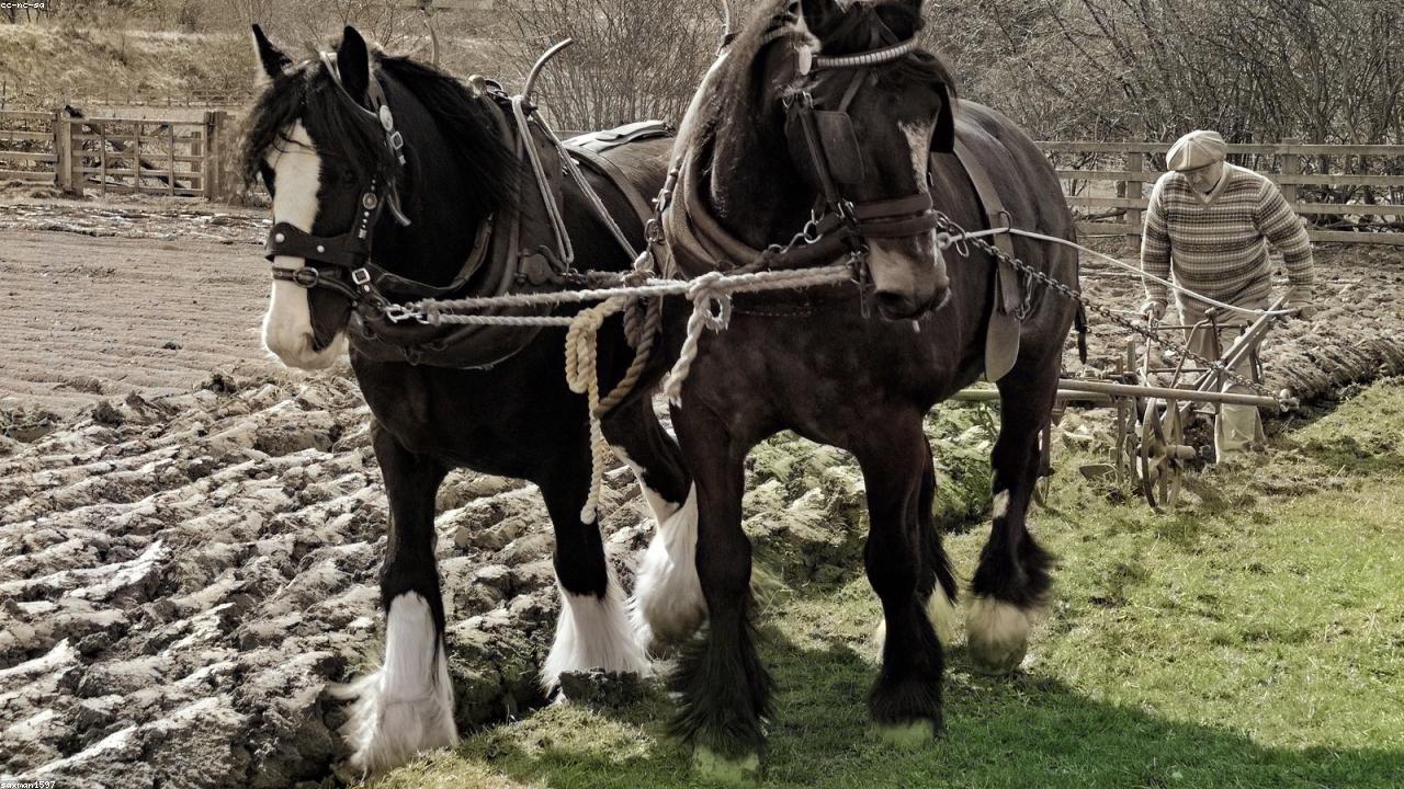 How Community Museums Keep Local History Feeling Alive