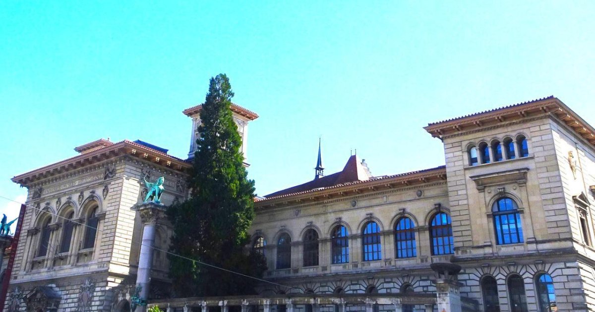 How Library Programs Give Education Sites Evergreen Value