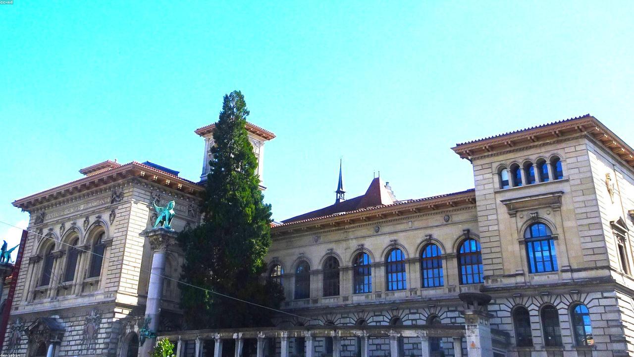 How Library Programs Give Education Sites Evergreen Value