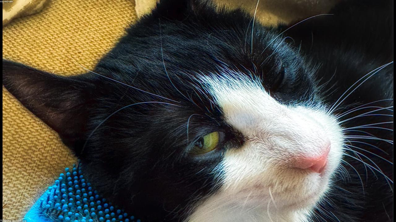 Inline editorial image showing an entertainment media setup.