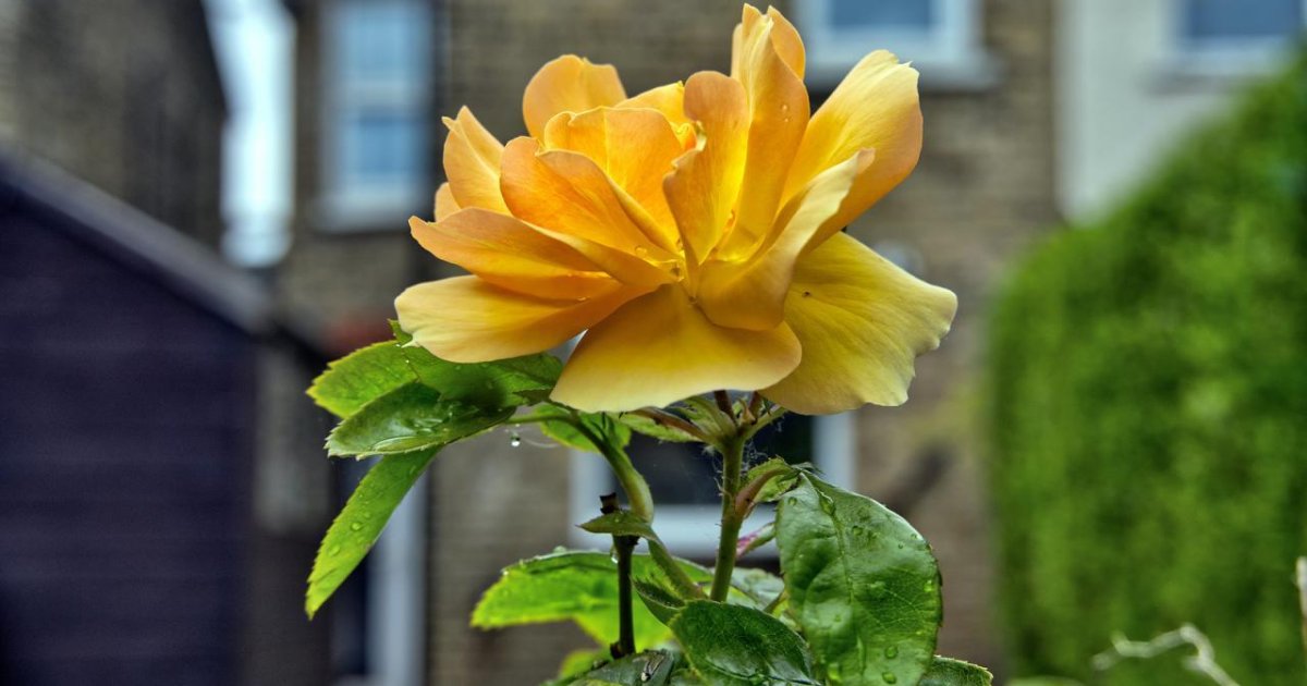 What Makes An Everyday Recycling Guide Easier To Follow