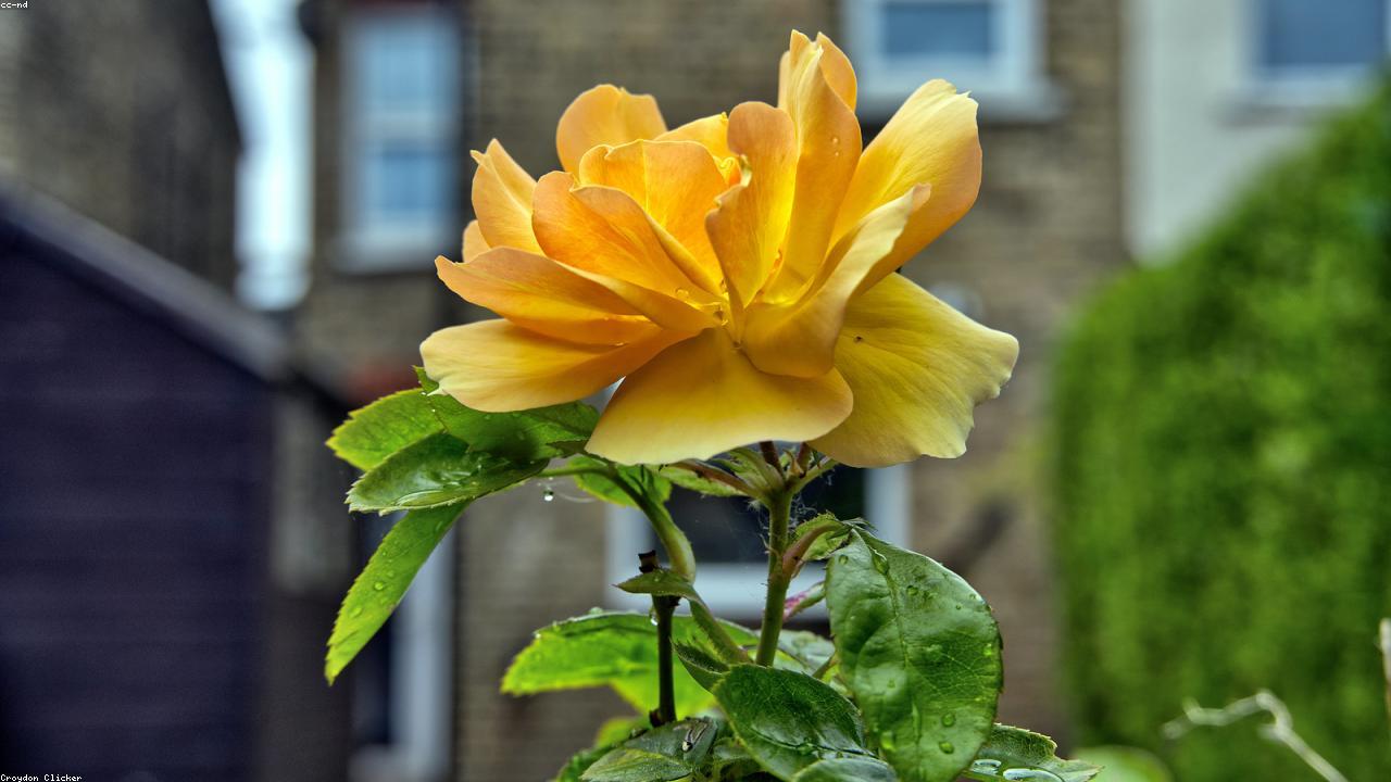 Inline editorial image for How Market Stories Make Food Coverage Feel More Local.