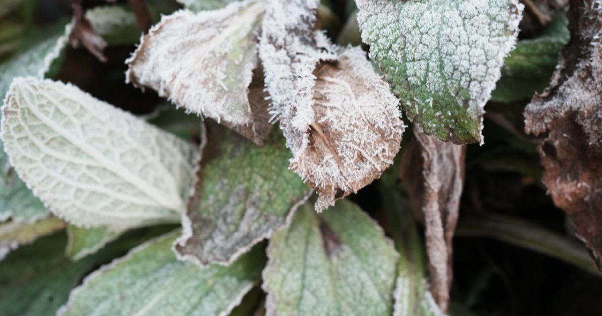 How Seasonal Fruit Guides Help Food Content Stay Evergreen