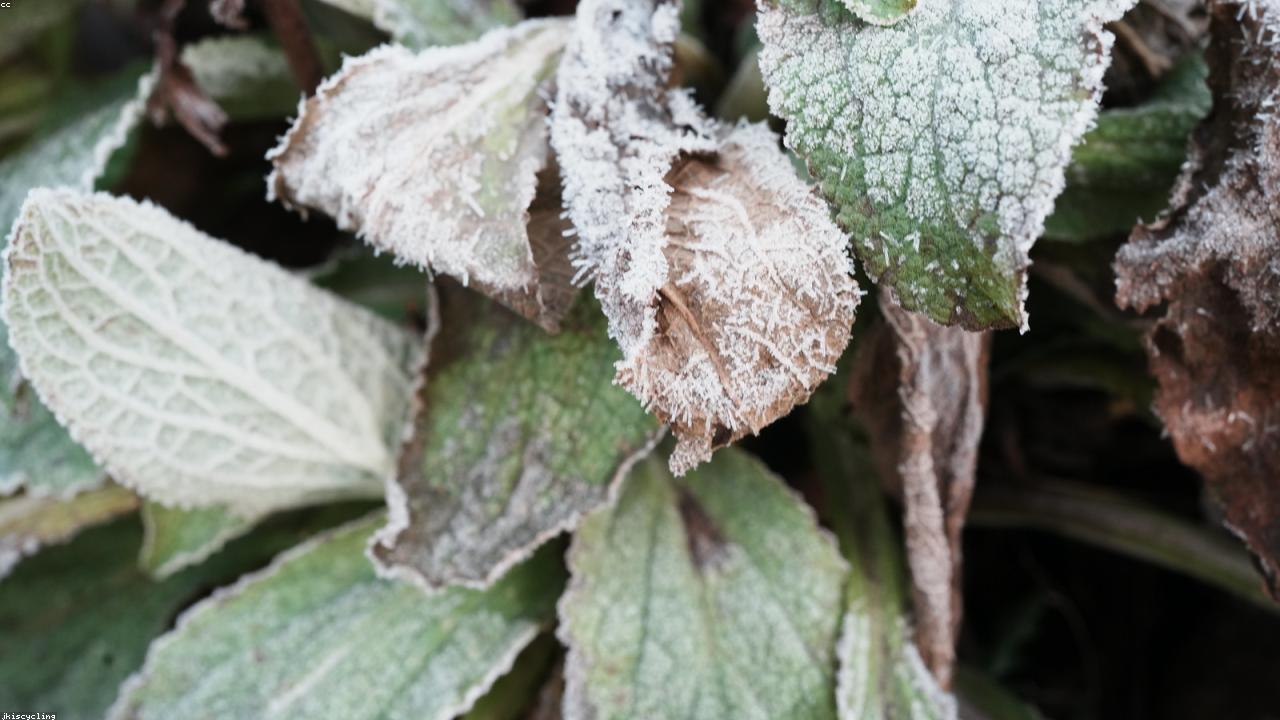 How Seasonal Fruit Guides Help Food Content Stay Evergreen