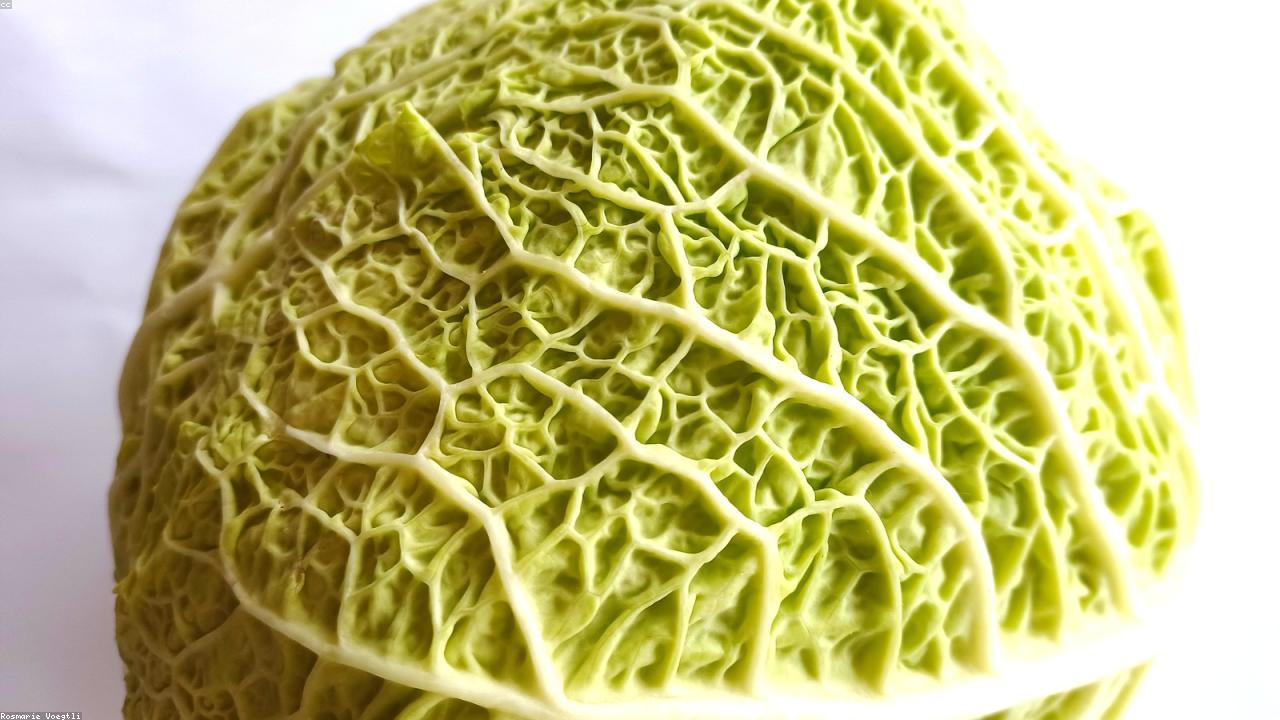 Inline editorial image for What Readers Want From A Useful Meal Prep Explainer.