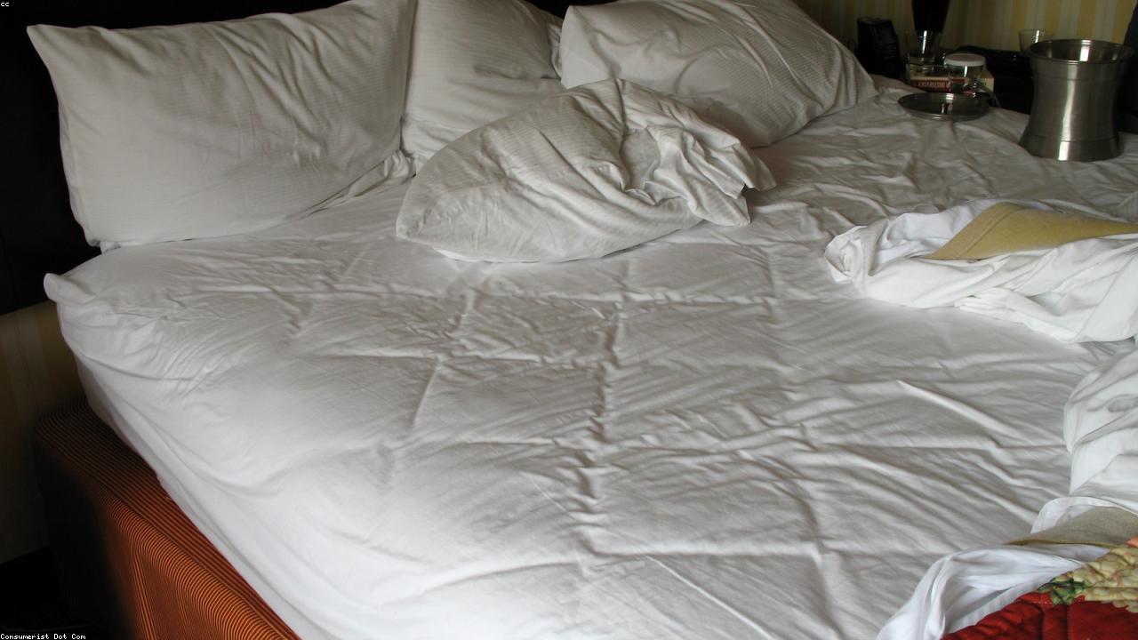 How Everyday Sleep Habits Shape Next Day Focus