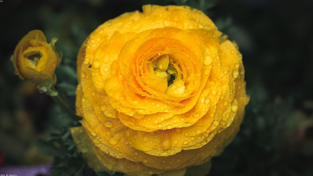 Why Walking Remains One Of The Easiest Wellness Habits To Keep