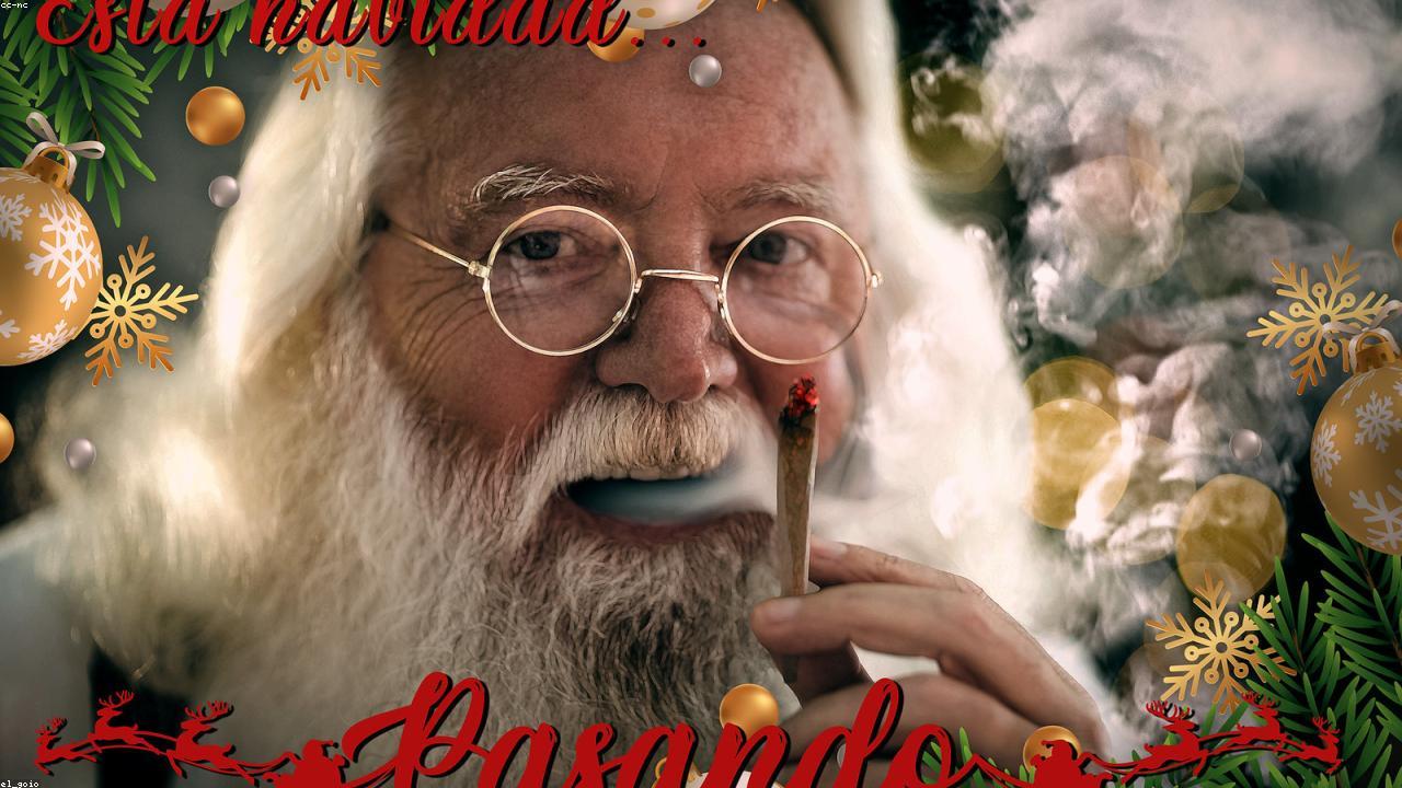 Inline editorial image showing a calm home lifestyle setting.