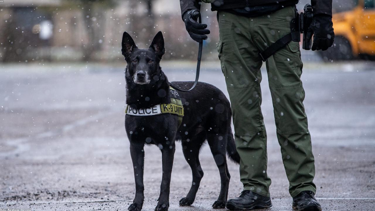 Inline editorial image showing a sports coverage setting.